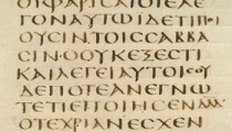 sinaiticus-hp